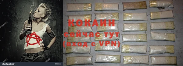 прущие грибы Аркадак