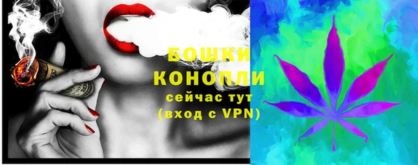 прущие грибы Аркадак