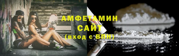 прущие грибы Аркадак