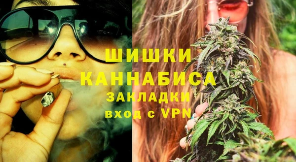 прущие грибы Аркадак