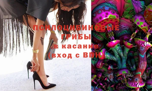 ГАЛЛЮЦИНОГЕННЫЕ ГРИБЫ Баксан