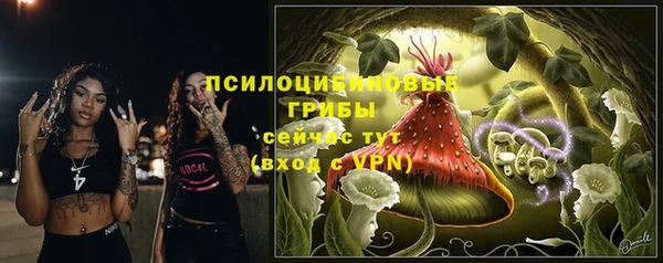 прущие грибы Аркадак