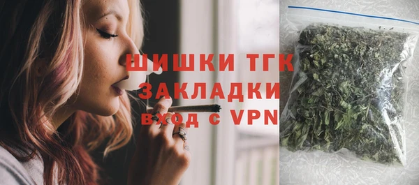 прущие грибы Аркадак