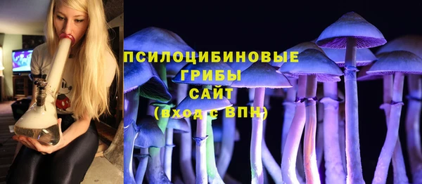 прущая мука Армянск