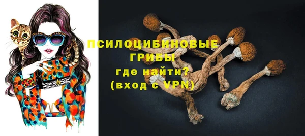 прущие грибы Аркадак